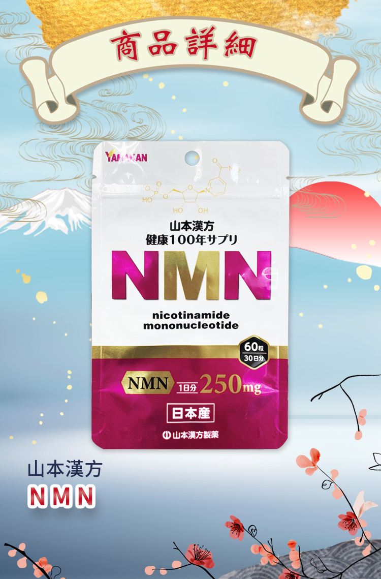 YAMAKAN山本漢方 NMN 250mg 賞味期限26.05 まとめ